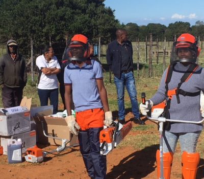 SUSTAINABLE LOCAL EMPLOYMENT