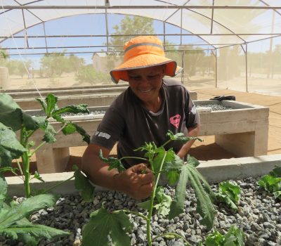 SYMBIOTIC FARMING PRACTICES SUCCEED IN THE KAROO