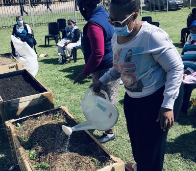 VEG IN A BOX COMMUNITY TRAINING