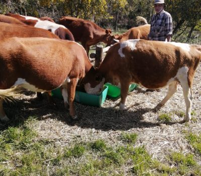 SUSTAINABLE FARMING FOR LOCAL CO-OP