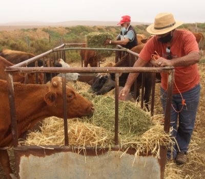 Support of Community Farming
