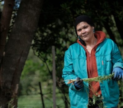 CO-OP TO RE-ESTABLISH GENADENDAL AS A SELF-SUFFICIENT AND SELF-RELIANT COMMUNITY