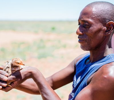 SMALL POULTRY FARM ENTERPRISE DETERMINED TO SUCCEED