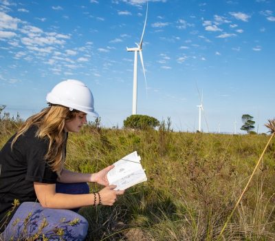 WIND POWER PUSHES ITS BIODIVERSITY MITIGATION MEASURES