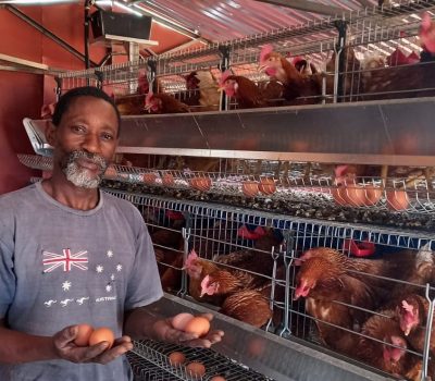 BOOSTING POULTRY BUSINESS AND SKILLS