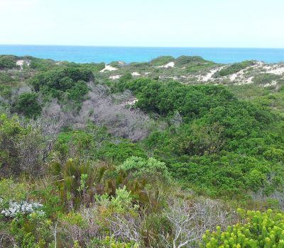 NATURE RESERVES FUTURE ASSURED