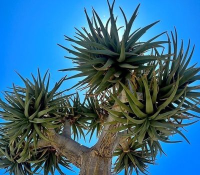 RICH AND DIVERSE NATURAL ENVIRONMENT