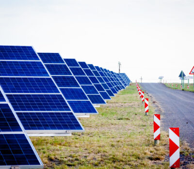 BIODIVERSITY SUCCESS OF SOLAR PV PLANTS