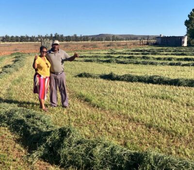 FARMER REALISES GOAL OF DIVERSIFYING
