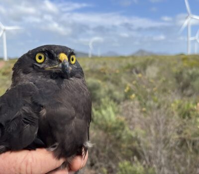 LEADING THE WAY IN CONSERVATION EFFORTS