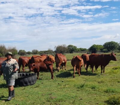 FEMALE FARMER ENTERS COMMERCIAL MARKET